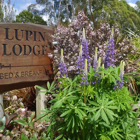 Lupin Lodge Bed & Breakfast Taupo Exterior photo