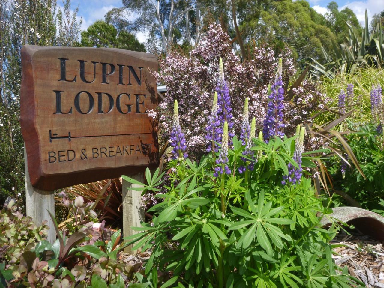 Lupin Lodge Bed & Breakfast Taupo Exterior photo
